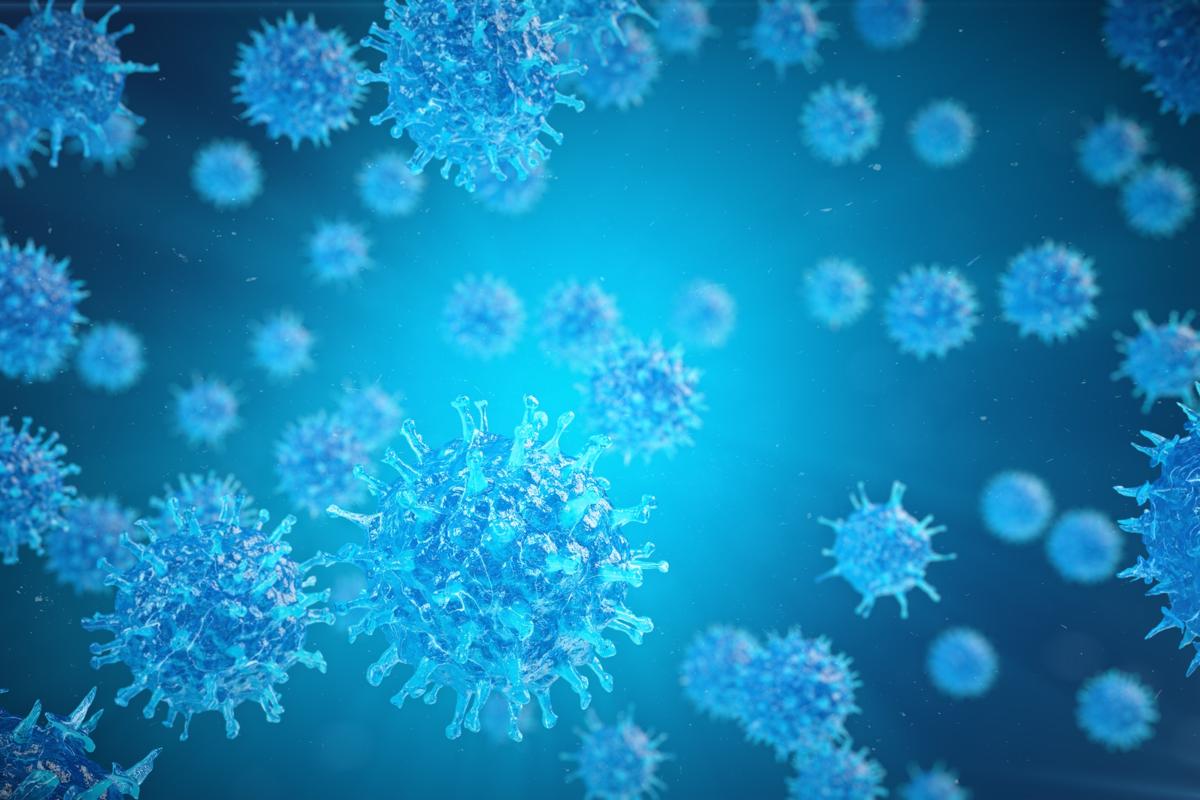 암보험 비교 항목 정리 차트