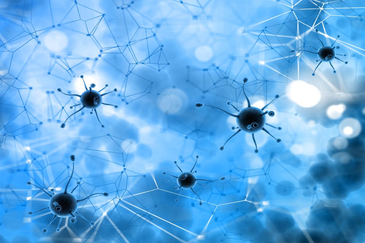 암보험 비교 지표 표